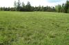 fen, tending to intermediate moor