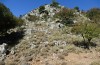 Chorthippus biroi: Habitat (Greece, Crete, west of Kallikratis, mid-October 2025) [N]