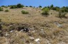 Stenobothrus clavatus: Habitat (Greece, Epirus, Mount Tomaros, northern part, 1370m, late July 2025) [N]