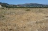 Dociostaurus maroccanus: Habitat auf Kreta im Mai 2013 [N]