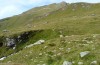 Chorthippus parallelus: Habitat (Austria, East Tyrol, Seespitzhütte, 2200m, late August 2018) [N]