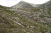 Stenobothrus rubicundulus: Habitat (foreground) in the Alpes-Maritimes in etwa 2400m above sea level, August 2011. [N]