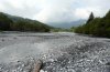 Epacromius tergestinus: Habitat in the French Alps (river Giffre) [N]