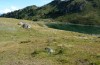 Stenobothrus ursulae: Habitat (N-Italien, Aosta, Pila, Lac de Chamolé, August 2018) [N]