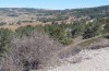 Chelis arragonensis: Habitat (Spanien, Frias de Albarracin, Anfang April 2023) [N]