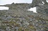 Holoarctia cervini: Habitat im Wallis in knapp 3000 m NN im Juni zur Zeit der ausgewachsenen Raupe [N]