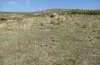 Arctia dejeanii: Larvalhabitat (Spanien, Sierra de Gredos, Ende März 2022) [N]