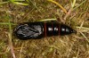 Arctia dejeanii: Empty male pupal skin (e.l. rearing, Spain, Sierra de Gredos, larva in late March 2022) [S]