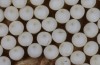 Arctia flavia: Eggs (e.l. Switzerland, Valais, Täschalpe, 2500m, mature larva in late May 2023) [S]