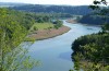 Thumatha senex: Habitat (S-Germany, river Iller near Unterbinnwang, mid-May 2020) [N]