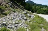 Paracaloptenus caloptenoides: Habitat bei Agios Parascevi Anfang Juli 2013 (N-Griechenland) [N]