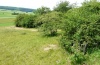 Anticlea derivata: Larvalhabitat auf der Ostalb: Magerrasen mit rosenreichem Gebüsch, Juni 2012) [N]