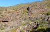 Isturgia tennoa: Habitat auf Teneriffa, Teno-Gebirge, Ende März 2012. [N]