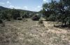 Pyrgus onopordi: Habitat in the Provence, France [N]