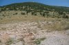 Spialia orbifer: Habitat: nutrient-poor dry and hot pastures in the Askio mountains (Northern Greece) [N]