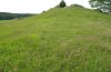 Polyommatus argus: Habitat: Fabaceae-rich, warm, nutrient-poor grassland on the eastern Swabian Alb, Southern Germany, where also Pyrgus alveus occurs. [N]