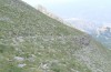 Turanana taygetica: Habitat (Greece, Mount Taygetos, 2200m, 18. June 2025) [N]