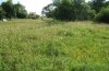 Maculinea teleius: Small-scale habitat north of Mainhardt: here are also found Maculinea nausithous, Brenthis ino and Zygaena trifolii (2010). [N]