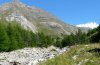 Lycaena virgaureae: Habitat in Swiss Valais on 2200m above sea level (August 2008) [N]