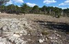 Geomantis larvoides: Habitat (Zentralspanien, Teruel, Sierra de Albarracin, Ende Juli 2017) [N]