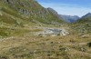 Mythimna anderreggii: Habitat (Silvretta, 2000m, Anfang September 2019) [N]