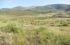 Autophila cataphanes: Habitat (Spain, Avila, Sierra de Gredos, late June 2025) [N]