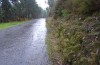 Agrochola haematidea: In der Straßenböschung wurde bei Regenwetter das abgebildete Weibchen tagsüber in einem Grasbüschel gefunden. Calluna/Erica kam hier und in benachbarten Zwergstrauchheiden vor (Nordportugal, Ende Oktober 2013). [N]