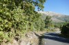 Polymixis lichenea: Habitat at the flight time (Spain, Sierra de Gredos, mid-October 2021) [N]