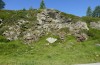 Heliothis ononis: Larval habitat (Switzerland, south side of Simplon, 14. August 2021) [N]