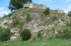 Hada plebeja: Larval habitat on the eastern Swabian Alb (Germany, May 2007). Here I obtained larvae from Silene nutans (together with those of Hadena albimacula and Hadena filograna). But the species inhabits also much less spectacular habitats. [N]