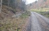 Diarsia rubi: Larvalhabitat in einer feuchten Staudenflur mit Kohldistel, Pestwurz, Baldrian und Waldwitwenblume (Adelegg, Isny, 01.11.2020) [N]