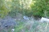 Olivenebula subsericata: Larval habitat with Dactylus glomerata on a woodland edge (N-Greece, Siatista near Kozani, larvae found in early November 2023) [N]