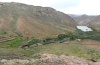 Thaumetopoea herculeana: Habitat in Fuerteventura (Rio Vegas) [N]