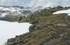 Euphydryas cynthia: Habitat in 2800 m NN zur Raupenzeit (siehe Raupenversammlung) im Juni [N]