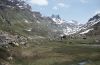 Erebia pandrose: Habitat in the Silvretta, Austrian Alps [N]