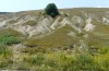 Issoria lathonia: Habitat in Nordgriechenland (Vitsi, Juli 2010) [N]