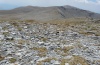 Erebia melas: Habitat on Olympus in 2600 to 2800m above sea level: vast screes, August 2012. [N]