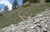 Erebia montana: Habitat in the Valais [N]