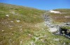 Oeneis norna: Habitat (N-Finland, Kilpisjärvi, late June 2020) [N]