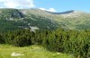 Erebia ottomana: Habitat im Rila-Gebirge (Anfang August 2013) [N]