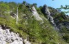 Erebia stirius: Habitat (Austria, Karawanken, Bad Eisenkappel, Trögerner Klamm/gorge near Bad Eisenkappel, early August 2016) [N]