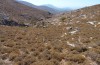Hipparchia syriaca: Eiablagehabitat im Attaviros-Gebiet. Zu dieser Zeit waren keinerlei grüne Gräser vorhanden, da es seit Frühjahr nicht mehr geregnet hatte (Rhodos, September 2013) [N]