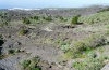 Acrostira euphorbiae: Habitat im Gebiet Tamanca im Dezember 2012. An der Küste sind die hellen Bananenplantagen zu erkennen, die schon einige Habitatfläche gekostet haben. [N]