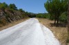 Papilio alexanor: Larvalhabitat mit Opopanax hispidus (Samos, Pirgos, Ende Juni 2016) [N]