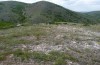 Euchloe penia: Larval habitat (foreground) in N-Greece near Siatista (May 2014) [N]