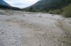 Tetrix tuerki: Habitat : muddily pepple bank in natural river landscape [N]