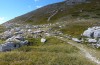 Metrioptera caprai: Habitat (Vordergrund) am Monte Terminillo in 1800m waren niedrige Wacholderbüsche am grasigen Hang (Rieti, Italien, Ende September 2016) [N]