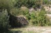 Eupholidoptera chabrieri: Habitat im S�dtessin