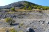 Antaxius difformis: Habitat in the Engadin late September 2008 [N]