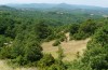 Ephippiger ephippiger: Habitat in N-Greece in July 2012 [N]